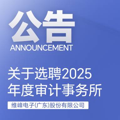 關(guān)于遴選和聘任2025年度審計事務(wù)所的通知